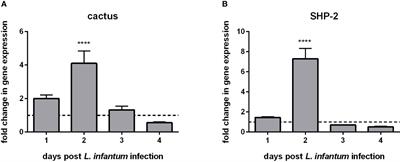 Evidence of a conserved mammalian immunosuppression mechanism in Lutzomyia longipalpis upon infection with Leishmania